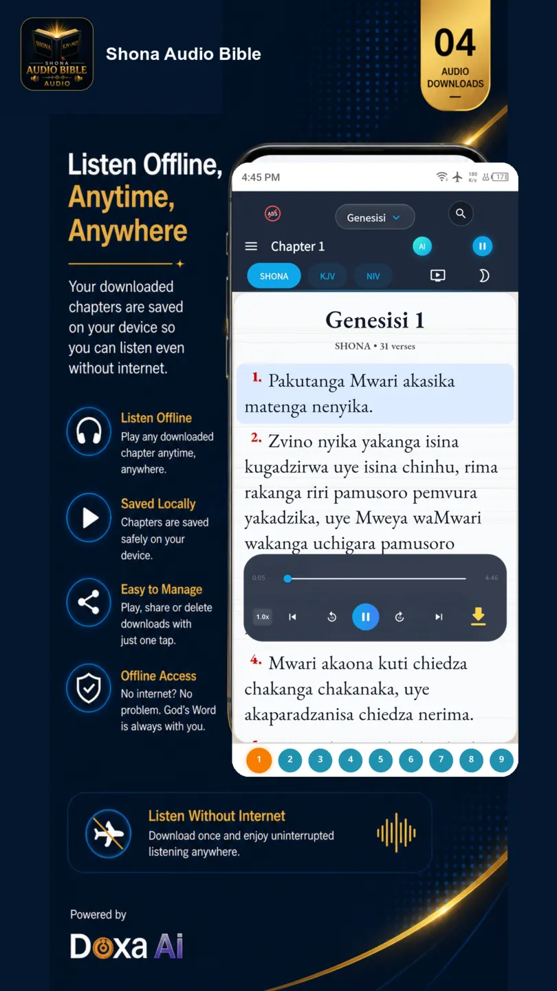 Shona Audio Bible screenshot 4